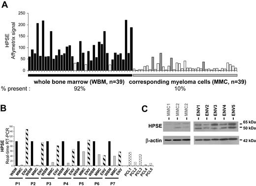 Figure 4. Comparison of HPSE expression between WBM and the corresponding purified MMCs of patients. (A) Expression of HPSE was determined in the WBM of 39 patients with myeloma as well as in the myeloma cells purified from the bone marrow of the same patients, using Affymetrix U1332 Plus 2.0 microarrays. □ indicates that the Affymetrix call is absent; ■ (WBM) and ▩ (MMC) indicate that it is present. (B) HPSE expression was measured by real-time RT-PCR in the whole bone marrow of 7 patients with MM (WBM; ■), in the corresponding MMCs (▩), in the corresponding microenvironment depleted from myeloma cells (< 2% MMCs, ENV; ▨), and in MMCs from 5 patients with plasma cell leukemia (PCL). HPSE expression was normalized to that of GAPDH. For each patient, the WBM sample was used as a reference and was assigned the arbitrary value of 100. For the 5 patients with PCL, the WBM sample of patient 1 was used as a reference. The median percentage of plasma cells in bone marrow aspirates from the 7 patients with intramedullary myeloma was 8.5% (range, 6%-40%). (C) HPSE protein expression was determined in microenvironment cells depleted from MMCs (< 2% MMCs, ENV1-5) of 5 patients and in purified MMCs of 3 other patients (MMC1-3). Cells were lysed, and the lysates were separated on a 12% SDS-PAGE and analyzed by Western blot with a polyclonal anti-HPSE antibody. Both the 65-kDa MW proenzyme and the 50-kDa MW active form were identified. β-Actin was used as a loading control. Results are from 2 separate Western blots, one with 3 purified MMCs, the other one with the 5 microenvironment cells. The HPSEpos XG-2 HMCL was used as a positive HPSE protein control in the 2 blots (results not shown). kDa indicates molecular weight in thousands.