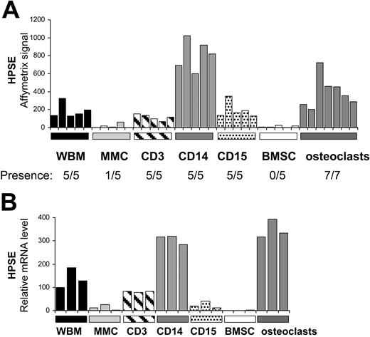 Figure 5. Expression of HPSE in subpopulations of the BM environment of patients with MM. (A) Expression of HPSE was determined in the WBM of 5 patients with MM as well as in MMCs, CD3+ cells, CD14+ cells, and CD15+ cells purified from the bone marrow of the same patients, using Affymetrix plus 2.0 microarrays. The 5 BMSC and 7 osteoclast samples were obtained by culture in vitro. (B) HPSE expression was measured by real-time RT-PCR. HPSE expression was normalized to that of GAPDH. One WBM sample was used as a reference and was assigned the arbitrary value of 100.