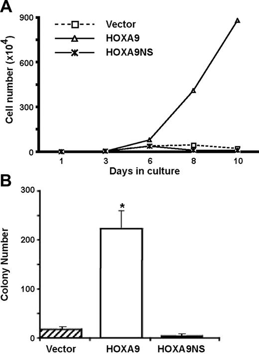 Figure 1. Overexpression of HOXA9 enhances cell proliferation and emergence of myeloid progenitors in a DNA-binding–dependent manner. (A) Bone marrow cells isolated from 5-FU–treated Hoxa9−/− mice were transduced with retroviral vectors expressing GFP alone (vector), or GFP together with either HOXA9 or the HOXA9NS DNA-binding mutant, and then placed in liquid suspension cultures. Viable cells were counted every 2 to 3 days for up to 10 days. The proliferation rate of cells transduced with wild-type HOXA9 was dramatically enhanced compared with cells transduced with the DNA-binding mutant or GFP alone. (B) After 8 days in culture, aliquots of the transduced cells described in panel A were plated in clonogenic assays to measure the number of committed myeloid progenitors. Wild-type HOXA9 effected a marked increase in colony numbers compared with the vector control and with the DNA-binding mutant (*P < .01). These experiments were repeated 3 times. Error bars indicate standard error.