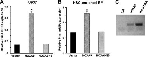 Figure 3. HOXA9 induces Pim1 mRNA expression and binds to the Pim1 promoter region in primary hematopoietic cells. RNA isolated from U937 cells (A) and HSC-enriched Hoxa9−/− marrow cells (B) transduced as described in Figure 1 was subjected to quantitative real-time RT-PCR analysis. Wild-type HOXA9, but not mutant HOXA9, significantly increased Pim1 mRNA levels (*P < .01). The experiments depicted in panels A and B were repeated 3 times. (C) Chromatin immunoprecipitation assays were performed on chromatin isolated from HOXA9-immortalized primary murine cell lines using either a HOXA9 antibody or IgG as a negative control. Using PCR primers to a distal segment of the Pim1 promoter, significant binding of HOXA9 to this region was demonstrated. Primers to 2 more proximal regions of the Pim1 promoter failed to show binding by HOXA9 (data not shown).