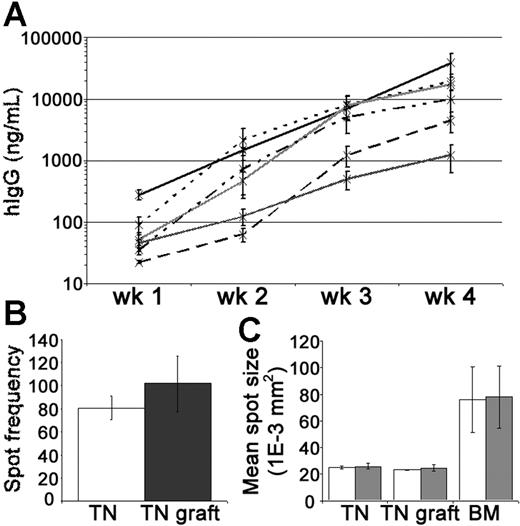 Figure 3. Tonsil graft PCs secrete high levels of human IgG. Secretion of hIgG by tonsillar PCs was assessed by ELISA and ELISPOT. (A) Weekly mean levels of hIgG (ng/mL) in the circulation of xenochimeric mice over 4-week grafting period in 6 independent experiments; each line represents data from a single experiment; error bars represent SEM. (B) Frequency of spots (hIgG) per 10 000 mononuclear cells recovered from tonsil (TN, □) or 10 000 live mononuclear cells recovered from TN grafts at 4 weeks after surgery (▩). Mean of 3 experiments shown, error bars represent SEM. (C) The mean spot size (1E-3 mm2) of cells secreting hIgG (□) and hIgM (▩) isolated from TN, TN grafts at 4 weeks after surgery, or bone marrow (BM). Mean of 3 experiments shown, error bars represent SEM.