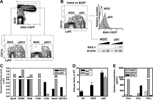 Figure 1. IKDCs differ from otherwise similar Ly6C+ pDCs with respect to RAG-1 and patterns of gene expression. (A) The B220+RAG-1/GFP+ population freshly isolated from BM did not include IKDCs. (B) Conversely, BM IKDCs do not express RAG-1 detectable in RAG-1/GFP reporter mice or by RT-PCR. (C) Transcripts for a series of genes were measured in highly purified cells by RT-PCR. (D) Wild-type mice were compared with Id2 gene–targeted animals (Id2−/−) by flow cytometry. Mean ± SEM values are shown for NK1.1+ CD11c− NK cells, B220+CD11c+CD19−Ly-6C− NK1.1+ IKDCs, and B220+CD11c+CD19−Ly-6C+NK1.1− pDCs in BM. (E) Rigorously sorted DC subsets were placed in overnight cultures with CpG ODN, and supernatants were tested for the 3 indicated cytokines. The results are representative of 3 independent experiments.