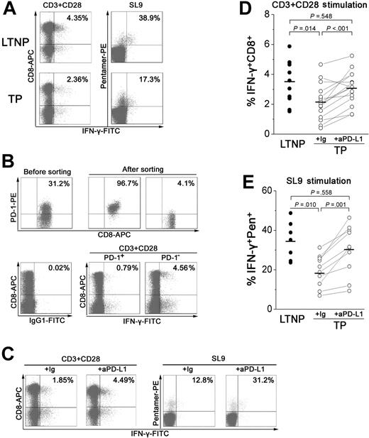 Figure 5. PD-1 up-regulation on total and virus-specific CD8+ T cells inhibits IFN-γ production in TP patients. (A) Representative dot plots of IFN-γ intracellular staining gated on CD3+ T cells and CD8+ T cells from LTNPs and TP subjects. (B) PD-1−CD8+ but not PD-1+CD8+ T cells produced a large amount of IFN-γ in response to TCR stimulation. Dot plots show the intracellular IFN-γ staining profile of PD-1+CD8+ and PD-1−CD8+ T cells from a representative TP patient. CD8+ T cells that were isolated from PBMCs using the MiniMACS system were further sorted into PD-1+CD8+ and PD-1−CD8+ T cells using FACSVantage. The sorted cells were added back to CD8-deleted PBMCs at a ratio of 1:3. Cells were further stimulated with a TCR mimic for 6 hours and intracellular IFN-γ production was assessed. Values in the upper right quadrant indicate the percentage of sorted CD8+ T cells that express PD-1 (top) and the percentage of PD-1+CD8+ and PD-1−CD8+ T cells that express IFN-γ. (C) Blocking PD-1/PD-L1 restores the percentage of IFN-γ+CD8+ T cells. IFN-γ intracellular staining of total and HIV-specific CD8+ T cells is shown in dot plots from a representative TP patient. (D-E) Summary data for the percentage of IFN-γ+CD8+ T cells (D) or IFN-γ+pentamer+CD8+ T cells (E) from LTNPs and TPs. Horizontal bars indicate mean values.