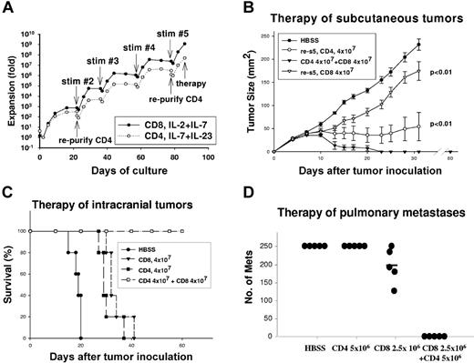 Figure 1. Hyperexpanded CD4+ and CD8+ T cells synergistically mediate tumor regression. (A) CD62Llow TDLN cells, or the purified CD4+ subset thereof, were activated as described in “Materials and methods” with anti-CD3 restimulations every 21 days as indicated. The total proliferation is plotted on a semi-log10 scale. (B) Mice bearing 3-day subcutaneous tumors (n = 5/group) were treated with TBI, and then received intravenous transfer of HBSS, 4 × 107 CD4+ T cells, 4 × 107 CD8+ T cells, or the combination of 4 × 107 CD4+ and CD8+ T cells activated for 85 days. Mice treated with the combination of CD4+ and CD8+ T cells had complete regression and superior therapeutic response than CD4+ or CD8+ T cells alone; error bars indicate SEM (P < .01 for each). (C) Mice bearing 3-day intracranial tumors (n = 5/group) were treated with TBI, and then received HBSS, CD4+, CD8+ T-cell subsets alone, or the combination of CD4+ and CD8+ T cells activated for 85 days. Survival for the CD4+ and CD8+ T-cell subsets was significantly better than HBSS control (P < .01 for each), but survival for the CD4+ combined with CD8+ T-cell group was significantly better than either the CD4+ or CD8+ T-cell subset (P < .01). (D) Mice bearing 10-day pulmonary metastases were treated with TBI then received the indicated number of CD4+ or CD8+ T cells alone or the combination of CD4+ and CD8+ T cells activated for 135 days. The number of metastases was counted on day 21. The combination of CD4+ and CD8+ T cells was superior to either subset alone (P < .01).