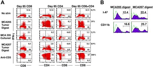 Figure 2. CD4+ T cells enhance the production of IFN-γ by CD8+ T cells in response to subcutaneous tumor digest. (A) CD4+ or CD8+ T-cell subsets derived from TDLN CD62Llow cells activated for 85 days were mixed with enzymatically digested single cell suspensions derived from subcutaneous MCA205 or MCA207 tumors, a single cell suspension of in vitro–cultured MCA205 or immobilized anti-CD3 mAb. Brefeldin A was added at hour 5 and cells were harvested at hour 20, permeabilized and stained for IFN-γ and CD4 and CD8. First column shows CD8+ TEs alone; second column, CD4+ TE cultures stained for CD4+ cells; third column, CD4+ TE cultures stained for CD8+ cells; and fourth column, CD8+ TEs and CD4+ TEs mixed at a 1:1 ratio and stained for CD8+ cells. The percentage of total cells is indicated in each compartment, whereas the percentage of IFN-γ–producing cells among the CD8+ T-cell subset is indicated next to the fourth column. (B) Subcutaneous MCA205 or MCA207 tumors were enzymatically digested to a single cell suspension, treated with FcR blocking antibody and stained with anti–I-Ab or anti-CD11b mAb then analyzed by FACS.