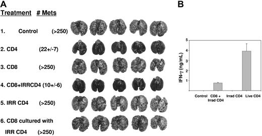Figure 3. Irradiated CD4+ T cells can provide help for effector CD8+ T cells. (A) Mice bearing 10-day pulmonary metastases were conditioned with TBI then received live CD4+ T cells (107), CD 8+ T cells (2.5 × 106), irradiated CD4+ T cells (107), the combination of CD8+ (2.5 × 106) and irradiated CD4+ T cells (107), or CD8+ T cells (2.5 × 106) that were culture activated in vitro in the presence of irradiated CD4+ T cells. Mice treated with live CD4+ T cells or the combination of irradiated CD4+ combined with CD8+ T cells each had superior response (P < .01) compared with untreated, CD8+ T cells alone, irradiated CD4+ T cells, or CD8+ cocultured with irradiated CD4+ T cells. (B) Serum was collected from 2 mice from each of the indicated groups 24 hours after T-cell transfer and ELISA for IFN-γ was performed.