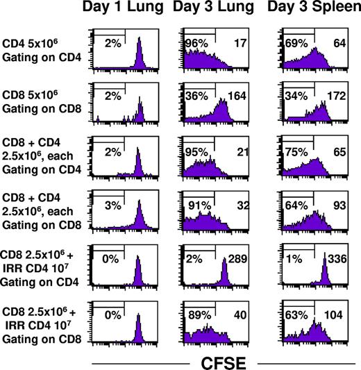 Figure 4. CD4+ T cells, whether viable or irradiated, augment proliferation of CD8+ T cells. Congenic Thy1.1 CD4+ and CD8+ T cells derived from TDLN were labeled with CFSE immediately prior to intravenous adoptive transfer into hosts with 10-day pulmonary metastases. Lungs and spleens were harvested on days 1 and 3 and single cell suspensions were analyzed for CFSE staining intensity within the gated Thy1.1 subset. The percentage of cells demonstrating at least 10-fold reduction in CFSE intensity is indicated on the left side and the mean fluorescence intensity is indicated on the right side of each graph.