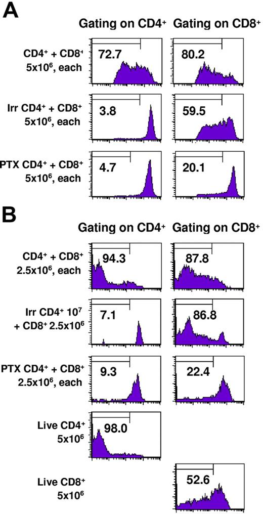 Figure 5. Pertussis toxin–treated CD4+ T cells fail to traffic into tumors or induce proliferation of CD8+ T cells. TDLN CD4+ T cells were untreated, irradiated, or treated with pertussis toxin and labeled with CFSE. They were mixed with TDLN CD8+ T cells labeled with CFSE and adoptively transferred to irradiated hosts bearing 10-day pulmonary metastases. Lungs were harvested 3 days later and cells were stained for CD4 or CD8 expression and analyzed by FACS. The percentage of cells demonstrating at least 4-fold reduction in CFSE intensity is indicated in each graph.