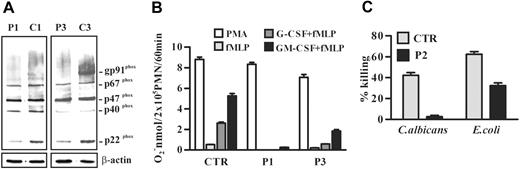 Figure 5. NADPH oxidase expression and activity in neutrophils from SCN patients. (A) Cell lysates of neutrophils purified from 2 patients (P1 and P3) and 2 healthy subjects (C1 and C3) were subjected to Western blot analysis with anti-gp91phox–, p47phox-, p67phox-, p40phox-, or p22phox-specific antibodies. The gp91phox appears as a broad smear because it is highly glycosylated. β-Actin was used to compare protein levels. (B) Neutrophils (2 × 105) from patients 1 (P1) and 3 (P3) and from a healthy subject (CTR) were stimulated with 100 nM fMLP or 20 ng/mL PMA for 60 minutes. When required, cells were preincubated with 50 ng/mL G-CSF or GM-CSF for 30 minutes before fMLP addition. O2− release was measured by cytochrome c reduction. Results shown are expressed as the mean value + SD of 3 independent experiments. (C) Neutrophils from patient 2 (P2) and a healthy subject (CTR) were incubated with opsonized C albicans blastospores or E coli for 90 minutes. Neutrophils were then lysed, diluted, and plated on Sabouroud or LB agar Petri dishes. The CFUs were counted after an overnight incubation, and the percentage of killing was evaluated as in “Patients, materials, and methods.” Results shown are expressed as the mean value ± SD of 2 experiments. Statistical analysis demonstrates that antimicrobial activities of neutrophils against C albicans and E coli are reduced in SCN patient compared with a healthy subject (P < .05).