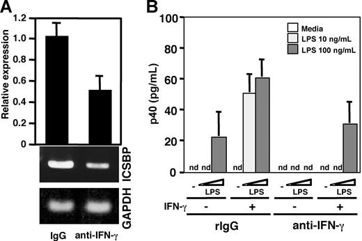 Figure 4. Contribution of IFN-γ to IL-12 production in BMMCs upon LPS stimulation. (A) Real-time PCR (top) and RT-PCR analysis (bottom) of ICSBP mRNA from BMMCs that were incubated with 100 U/mL IFN-γ for 16 hours after the cells were treated with 10 μg/mL control rat IgG or anti–IFN-γ antibody for 48 hours. These results are representative of 3 independent experiments that had similar results. (B) ELISA analysis of p40 production from control IgG– or anti–IFN-γ antibody–treated BMMCs. The cells were incubated with 10 μg/mL control rat IgG or anti–IFN-γ antibody for 48 hours. Then the cells were incubated with the indicated concentration of LPS for 24 hours after the cells had been preincubated in the presence or absence of 100 U/mL IFN-γ for 16 hours. Data represent mean ± SD of 3 independent experiments. nd indicates not detected.