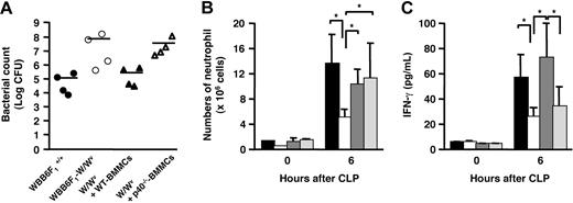 Figure 7. Bacterial counts, neutrophil migration, and IFN-γ concentration in the peritoneal cavity. (A) Bacterial counts in the peritoneal fluids collected from CLP-treated mice at 6 hours after CLP surgery. WBB6 F1+/+ (wild type; ●), WBB6 F1-W/Wv (mast-cell deficient; ○), wild-type BMMC–reconstituted WBB6 F1-W/Wv (▴), and p40−/− BMMC–reconstituted WBB6 F1-W/Wv mice (▵). Results are expressed as log10 of CFU per cavity (n = 4 mice). Horizontal bar represents the mean. (B) Neutrophil migration into the peritoneal cavity of CLP-treated mice at 0 or 6 hours after CLP surgery. WBB6 F1+/+ (■), WBB6 F1-W/Wv (□), wild-type BMMC–reconstituted WBB6 F1-W/Wv (hatched bar), and p40−/− BMMC–reconstituted WBB6 F1-W/Wv mice (dotted bar) in panels B-C. Data represent mean ± SD of 5 mice and *P < .05; significantly different from the mean value of the corresponding control in panels B-C. (C) Concentration of IFN-γ in the peritoneal cavity of CLP-treated mice at 0 or 6 hours after CLP surgery.