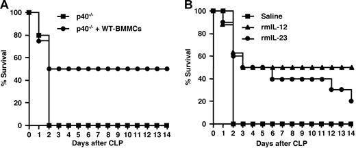 Figure 8. Effects of mast cells, IL-12, and IL-23 on survival after CLP. (A) Effect of transplantation of WT-BMMCs on survival of p40−/− mice exposed to CLP. Survival rates of p40−/− mice (5 mice/group; ■), and p40−/− mice that received a transplant of WT-BMMCs (4 mice/group; ●) after CLP induction are shown. (B) Effect of IL-12 and IL-23 on survival of W/Wv mice exposed to CLP. Survival rates of W/Wv mice with intraperitoneal saline injection (5 mice/group; ■), W/Wv mice with intraperitoneal murine IL-12 injection (8 mice/group; ▴), and W/Wv mice with intraperitoneal murine IL-23 injection (10 mice/group; ●) following CLP induction are shown.