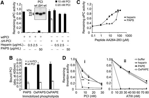 Figure 4. The stimulatory effect of phospholipids requires the heparin-binding site of PCI. (A) aPC was incubated with recombinant wild-type PCI (wtPCI) or mutated PCI, in which the H-helix was deleted (ΔH-PCI) in the absence and presence of heparin or PAPS for 20 minutes as indicated. Remaining aPC activity was determined using S-2366 as described in “Materials and methods.” (Inset) Western blots performed after SDS-PAGE of wtPCI and ΔH-PCI. (B) PAPS, OxPAPS, and OxPAPE (100 μg/mL each) were immobilized on microtiter plates and incubated with wild-type PCI or ΔH-PCI (4 nM each). Bound PCI was detected as described in “Materials and methods.” Means of triplicates ± SEM are shown. (C) aPC was incubated with PCI (10 nM) in the presence of heparin (0.5 μg/mL) or PAPS (50 μg/mL) and in the presence of different concentrations of peptide AA264-283 for 20 minutes at 37°C. Remaining enzymatic activity was determined as described in “Materials and methods.” (D) Thrombin (1 nM) was incubated for 20 minutes with different concentrations of PCI (i) or ATIII (ii) in the absence or presence of heparin (2.5 μg/mL), PAPE (50 μg/mL), or OxPAPE (50 μg/mL). Remaining thrombin activity was determined as described in “Materials and methods.” Data shown represent means of quadruplicates (i) or duplicates (ii). *P ≤ .02; **P ≤ .004. Similar results were obtained in 3 independent experiments.