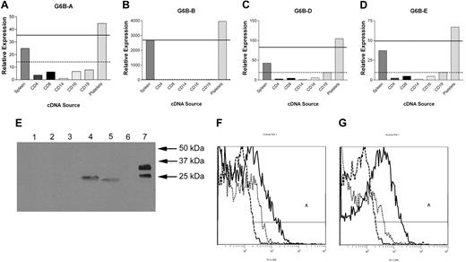 Figure 1. G6B is expressed on the surface of platelets. Relative expression of the G6B splice forms G6B-A (A), G6B-B (B), G6B-D (C), and G6B-E (D) in a range of cell types. In each panel, expression is shown relative to the cell type with the lowest ΔCT value.5 In each case, the dashed line shows the median value; and the solid black line, 2 standard deviations above the median value. Data are representative of 3 individual experiments. (E) Western-blot analysis of G6B expression in whole buffy coat (lane 1), CD4+ T cells (lane 2), CD8+ T cells (lane 3), CD14+ monocytes (lane 4), CD16+ granulocytes (lane 5), CD19+ B cells (lane 6), and platelet-rich plasma (lane 7). Due to the size differential between nucleated blood cells and platelets and to ensure equivalent protein mass per lane, 100-fold more cells were loaded in lane 7 compared with lanes 1 to 6. Gel was visualized with a G6B mAb and detected with a goat anti–mouse HRP conjugate as described in “Materials and methods.” Size standards are indicated to the right of the gel. (F-G) Flow cytometry of platelets showing surface expression using affinity-purified G6B mAb (solid line), isotype control (dotted line), and platelets alone (dashed line). Panel F shows expression on washed resting platelets gated on the CD41+ population and panel G shows ADP-activated platelets gated on the CD62-P+ population. Region A represents the number of positive cells above unstained platelets.