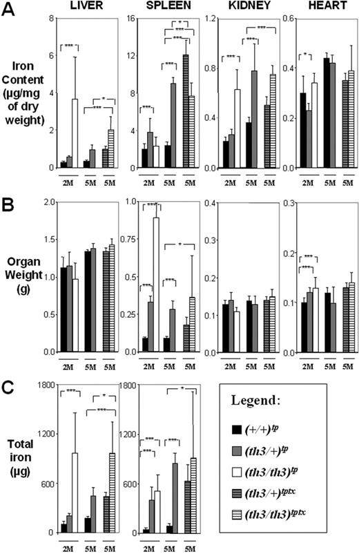 Figure 3. Organ iron content differs in β-thalassemia intermedia versus major. (A) Iron content (μg/mg dry weight), (B) organ weight (g), and (C) total iron (μg) of liver, spleen, kidney, and heart. The mice have been categorized according to their age as indicated in Figure 2. Mice receiving transplants are ■, +/+; ▩, th3/+; □, th3/th3; gray striped, th3/+ transfusion; white striped, th3/th3 transfusion. Error bars represent SD performed on 3 to 11 independent mice/tissue in duplicate per group for 90 mice sampled. *P < .05, **P < .01, and ***P < .001 relative to control using the Dunnett multiple comparison test. In the heart, the iron content did not increase in mice given a transplant compared to those not so treated (Figure 2A) and comparing (th3/th3)tp-2M to (th3/+)tp-2M. This indicates that, at least in mice, increasing the body iron content by augmented intestinal absorption or by indirect administration of iron through blood transfusion does not lead to increased accumulation of iron in this organ over time. This was also confirmed by Prussian blue staining (not shown).