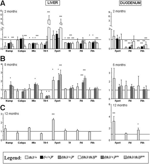 Figure 5. In older thalassemic mice, Hamp1 expression increases to the level observed in normal mice, whereas Fpn1 is up-regulated. (A) Mice at 2 months of age. We used the average gene expression value of +/+-2M animals to normalize the values of th3/+-2M mice and of (+/+)tp-2M, (th3/+)tp-2M, and (th3/th3)tp-2M mice, as shown by the horizontal line in the figure. We decided to use this value because our iron data clearly indicated that (+/+)tp-2M mice show increased iron content in their spleen compared to +/+-2M animals. Bars represent the average fold change in mRNA expression compared to +/+-2M mice. (B) Mice at 5 months of age and given transfusions. +/+-5M and (+/+)tp-5M mice showed the same iron values (Figures 2–3) indicating that at this point the effects of the transplantation on erythropoiesis and iron metabolism had disappeared. The same was observed comparing th3/+-5M and (th3/+)tp-5M mice. Therefore, to simplify our graphs, we combined the mice given transplants and not so treated into a single group for each genotype (the light gray bars designating, only in this case, both groups receiving transplants and those that did not). Bars represent the average fold change in mRNA expression when compared with the group of (+/+)tp-5M plus +/+-5M mice. Blood transfusion did not appear to have any effect on the expression level of the genes analyzed in the duodenum, but it increased Hamp1 and normalized and normalized Cebpa liver expression levels in (th3/+)tptx-5M and (th3/th3)tptx-5M mice. Accordingly, in the liver of (th3/+)tptx-5M and (th3/th3)tptx-5M mice, Tfr1 decreased compared to the (th3/+)tp-5M - th3/+-5M mice pool and (th3/th3)tp-2M animals not given transfusions. Ftl1 and Fth1 expression levels were also assessed in the heart, but no differences were observed between thalassemic animals receiving transfusions, those not receiving transfusions, and control animals at 2, 5, and 12 months (not shown). (C) Mice at 12 months. Bars represent the average fold change in mRNA expression when compared with control +/+-12M mice. All the expression levels were normalized using oligonucleotides for mouse Gapdh or β-actin RNA. Ftl1 indicates ferritin-light chain; Fth1, ferritin-heavy chain, Tf, transferrin. Hamp1, Hjv, Hfe, Tfr1, Tfr2, and Tf were extremely low or undetectable in duodenum. For the 60 mice sampled, the Q-PCRs were performed on 3 to 7 independent mice/tissues in duplicate for each gene. Error bars represent SD performed on at least 3 animals per group. *P < .05, **P < .01, and ***P < .001 relative to controls using the Dunnett multiple comparison test. The complete list of genes analyzed is indicated in Table 1. Only genes whose expression was statistically different between control and thalassemic organs are described in this figure.