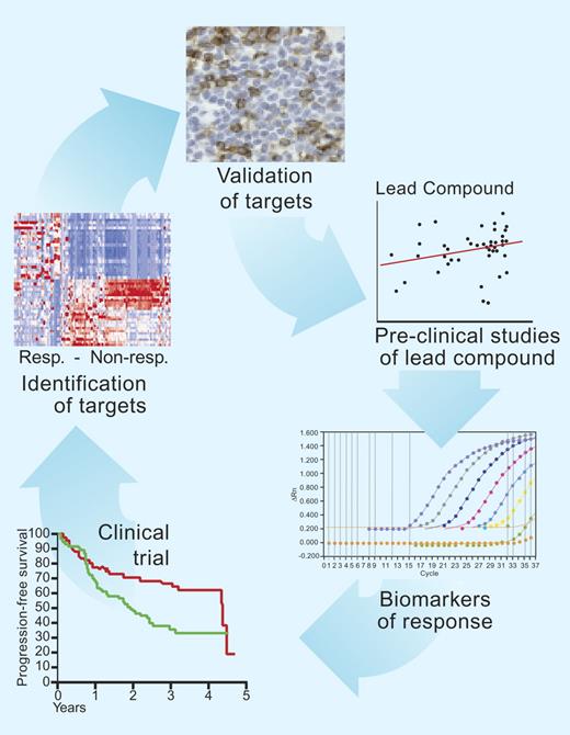 Figure 1. Laboratory and clinical studies in indolent lymphoma. Improvements in outcome in indolent lymphoma will come from study of the molecular determinants of outcome to treatment. Once these determinants are identified and validated, new drug treatments can be tested in subsequent clinical trials. Surrogate markers are useful to identify more rapidly whether the novel agent is targeting the lymphoma cells. Illustration by Paulette Dennis.