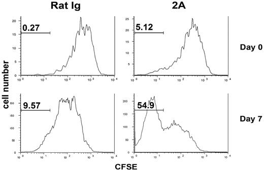 Figure 5. Effects of CD137 mAb on naive T-cell homeostasis in lymphopenic mice. CFSE-labeled naive OT-1 × RAG1 KO T cells (1 × 106) were adoptively transferred into sublethally irradiated B6 mice. Then, 100 μg rat IgG or 2A was injected intraperitoneally on day 0 (upper panels) or day 7 (lower panels) after cell transfer. Spleen cells were prepared at day 6 after antibody treatment and analyzed by flow cytometry. Histogram plots of CFSE intensity of transferred OT-1 cells (gated on CD8+ OT-1 tetramer-positive cells) in the spleen are shown. The results are from one representative of 3 independent experiments with similar results.
