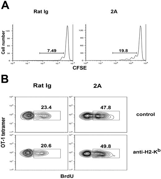 Figure 6. Memory T-cell proliferation induced by CD137 stimulation is antigen and MHC independent. (A) Memory OT-1 cells generated as described Figure 4 were labeled with CFSE and adoptively transferred into H-2Kb KO mice and subsequently treated with CD137 mAb or control antibody on day 1 and 3. On day 7, spleen cells were harvested and stained for CD8, OT-1 tetramer. CFSE intensity of transferred memory OT-1 cells was shown by flow cytometry gated on CD8 and OT-1 tetramer-positive cells. (B) B6 mice transferred with naive OT-1 T cells were preimmunized with OVA plus poly I:C to generate memory OT-1 cells. Fifty days later, mice were injected with anti–H-2Kb blocking mAb on day −1 and 2. On day 0 and day 2, mice were treated with CD137 mAb or control mAb, respectively, and fed with PBS containing BrdU as shown previously. Spleen cells were prepared on day 7 after treatment and analyzed by flow cytometry. Histogram plots of CFSE intensity of transferred OT-1 cells (gated on CD8+ OT-1 tetramer-positive cells) in the spleen are shown. The results are from one representative of 2 independent experiments with 3 mice in each group.