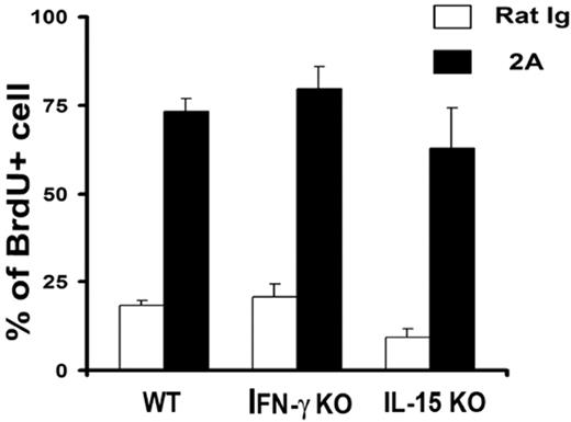 Figure 7. IL-15 and IFN-γ are not required for CD137-induced memory T-cell proliferation. IL-15 KO and IFN-γ KO mice were treated with the indicated mAb and fed with BrdU as shown in Figure 1. Data shown are percentages of BrdU+ cells gated on the CD8+CD44hi portion. The results are from one representative of 2 independent experiments with similar results. Error bars indicate SD. No significant difference was found among groups (P > .05).