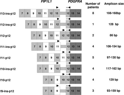 Figure 1. Strategy for detection of FIP1L1-PDGFRA fusion transcripts in CEL patients with heterogeneous breakpoint patterns. An appropriate forward primer (Table 1) was used in conjunction with the common probe (PDGFRA-Pr1) and reverse primer (PDGFRA-R1) according to the identified breakpoint location. The number of patients analyzed with any given assay is shown, together with the respective size of the amplicon.