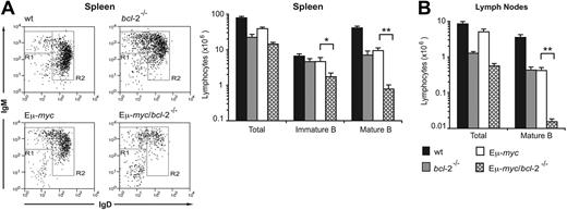 Figure 2. Preleukemic Eμ-myc/bcl-2−/− reconstituted mice have abnormally low numbers of mature B cells. Spleen and LNs were harvested from lethally irradiated wt mice 8 to 12 weeks after reconstitution with fetal liver cells from wt, bcl-2−/−, Eμ-myc, and Eμ-myc/bcl-2−/− (E14.5) embryos. Single-cell suspensions were prepared, stained with fluorochrome-conjugated monoclonal antibodies to B220, IgM, IgD, and Ly5.2, and analyzed by FACS. (A) Representative FACS profiles illustrating the abundance of immature (R1: B220+ sIgMhi sIgDlo) and mature (R2: B220+ sIgMlo sIgDhi) splenic B cells, and total numbers in spleens from wt, bcl-2−/−, Eμ-myc/bcl-2+/+, and Eμ-myc/bcl-2−/− fetal liver reconstituted mice. Profiles are gated on Ly5.2+ B220+ cells. (B) Total numbers of donor-derived mature B cells (B220+ sIgMlo sIgDhi) in LNs from wt, bcl-2−/−, Eμ-myc, and Eμ-myc/bcl-2−/− reconstituted mice. Graphs represent means ± SEM from 5 to 8 mice of each genotype. Statistically significant differences: *P < .05; **P < .001.