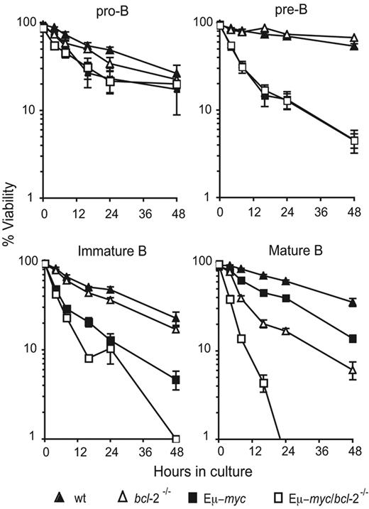 Figure 3. Abnormally accelerated apoptosis of Eμ-myc/bcl-2−/− B cells in culture. Survival assays were performed on purified populations of preneoplastic bone marrow–derived pro-B (Ly5.2+ B220+ sIg− c-Kit+) or pre-B cells (Ly5.2+ B220+ sIg− c-Kit−) and splenic immature (Ly5.2+ B220+ sIgMhi sIgDlo) or mature B lymphocytes (Ly5.2+ B220+ sIgMlo sIgDhi) from mice 8 to 12 weeks following reconstitution with fetal liver cells from wt (▴), bcl-2−/− (▵), Eμ-myc (■), and Eμ-myc/bcl-2−/− (□) E14.5 embryos. The purified donor-derived B-cell populations were cultured in the absence of cytokines for the indicated time periods, and cell viability was measured by staining with PI plus annexin V and FACS analysis. Data represent means ± SEM from 4 to 8 independent experiments for each cell subset and genotype.