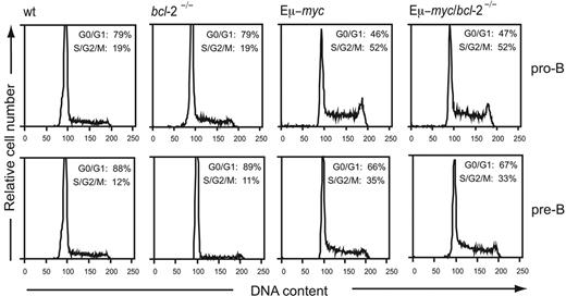 Figure 4. Loss of endogenous Bcl-2 does not affect the enhanced proliferation of Eμ-myc transgenic B lymphoid cells. Donor-derived pro-B cells (Ly5.2+ B220+ sIg− c-Kit+) and pre-B cells (Ly5.2+ B220+ sIg− c-Kit−) were purified by multiparameter cell sorting from the bone marrow of mice reconstituted with wt, bcl-2−/−, Eμ-myc, and Eμ-myc/bcl-2−/− cells. The purified cells were then permeabilized and stained with PI, and their DNA content was analyzed by flow cytometry. The average percentages of cells in the G0/G1 and S/G2/M phases, obtained by manual gating, are indicated in the top right corners of the histograms. Results are representative of 3 to 4 independent experiments from 3 to 5 mice of each genotype.