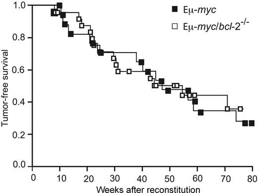 Figure 5. Loss of endogenous Bcl-2 does not delay Eμ-myc–induced B lymphoma development. Kaplan-Meier analysis of tumor latency in lethally irradiated wt (Ly5.1+) mice reconstituted with fetal liver cells from Ly5.2+ Eμ-myc (■) and Eμ-myc/bcl-2−/− (□) (E14.5) embryos. Mice were killed when deemed moribund by an animal technician who was blinded to the genotype of the mice. Cause of death was classified as Eμ-myc lymphoma according to the criteria detailed in “Materials and methods.”
