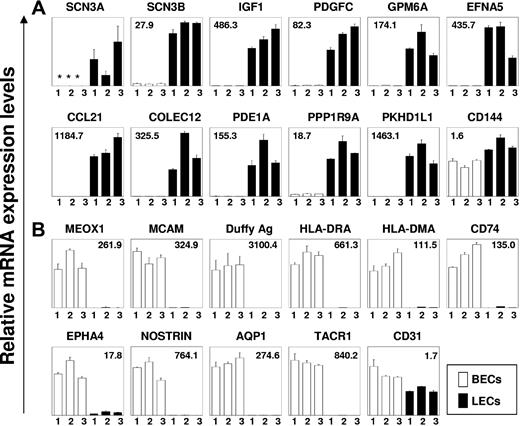 Figure 3. Validation of LEC- and BEC-specific gene expression by quantitative RT-PCR. mRNA expression of LEC- (A) and BEC-specific genes (B), as identified by gene chip analysis, was analyzed in 3 pairs of prospectively prepared samples of LECs and BECs by qRT-PCR. qPCR was performed for the expression of voltage-gated sodium channel type III α (SCN3A) and β chains (SCN3B), insulin-like growth factor 1 (IGF1), platelet-derived growth factor C (PDGFC), glycoprotein M6A (GPM6A), ephrin-A5 (EFNA5), CC chemokine ligand 21 (CCL21, SLC), collectin subfamily member 12 (COLEC12), phosphodiesterase 1A (PDE1A), protein phosphatase 1, regulatory (inhibitor) subunit 9A (PPP1R9A), polycystic kidney and hepatic disease 1-like 1 (PKHD1L1), mesenchyme homeobox 1 (MEOX1), melanoma cell adhesion molecule (MCAM), Duffy blood group antigen (FY), α chain of HLA-DR (HLA-DRA), α chain of HLA-DM (HLA-DMA), MHC class II invariant chain (CD74), EPH receptor A4 (EPHA4), nitric oxide synthase trafficker (NOSTRIN), aquaporin 1 (AQP1), tachykinin receptor 1 (TACR1), VE-cadherin (CD144), and platelet/endothelial cell adhesion molecule (CD31). Data shown are mean mRNA expression values and standard error of means from 2 independent PCR measurements normalized to the expression of β2-microglobulin (B2M). Asterisks indicate samples in which mRNA levels were below the detection limit of RT-PCR. In each diagram, the mean fold difference of mRNA expression of the 3 paired BEC and LEC samples is given.