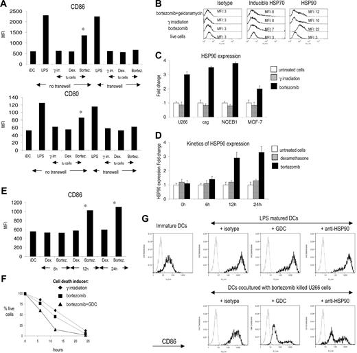 Figure 3. Mechanism of bortezomib-induced immunogenic cell death: role of cell surface hsp90 on the immunogenicity of bortezomib-induced cell death. (A) Phenotype of dendritic cells after interaction with bortezomib-killed U266 cells. Day 5 immature DCs were cultured for 24 hours with U266 myeloma cells killed by γ irradiation, dexamethasone, or bortezomib. Second set of cocultures was set up in transwells to prevent DCs/tumor cells contact. After 24 hours, expression of CD80 and CD86 on DCs was analyzed by flow cytometry. Mean fluorescence intensity is shown. *P value for comparison with γ-irradiated tumor cell–loaded DCs, P < .05. (B) Induction of inducible HSP70 (iHPS70) and HSP90 expression on U266 treated with bortezomib. Apoptosis of U266 myeloma cells was induced by γ irradiation or bortezomib and surface expression of HSP70 and HSP90 analyzed 24 hours later by flow cytometry. Preincubation of tumor cells with geldanamycin 1 hour prior to the addition of bortezomib inhibits the increase in HSP90 expression. (C) HSP90 expression 24 hours after bortezomib treatment on myeloma (U266 and cag), mantle cell lymphoma (NCEB1), and breast cancer (MCF-7) cell lines. (D) Kinetics of HSP90 expression on U266 cells after dexamethasone or bortezomib treatment analyzed by flow cytometry. (E) Phenotype of dendritic cells after interaction with dexamethasone or bortezomib-killed U266 cells at different stages of apoptosis. U266 cells were killed by bortezomib or dexamethasone, and cocultures with day 5 immature DCs were set up at 6, 12, and 24 hours after induction of apoptosis. After 24 hours, expression of CD86 on DCs was analyzed by flow cytometry. Mean fluorescence intensity is shown. *P value for comparison with immature DCs, P < .05. (F) Kinetics of U266 myeloma cell apoptosis after γ irradiation, bortezomib treatment, or combined bortezomib + geldanamycin (GDC) treatment. Percentage of live cells was followed for 24 hours by flow cytometry. Live cells were defined as annexin V negative/To-Pro3 negative. (G) Inhibition of increase in CD86 expression on DCs after interaction with bortezomib-killed myeloma cells by GDC or anti-HSP90 antibody. Immature DCs were cultured for 24 hours with U266 myeloma cells killed by bortezomib and expression of CD86 analyzed by flow cytometry. Preincubation of tumor cells with geldanamycin or anti-HSP90 mAb prior to the induction of apoptosis by bortezomib abrogates increase in CD86 expression. Staining with isotype control (gray line) and anti-HPS90 mAb (black line) is shown. Error bars represent mean ± SD.