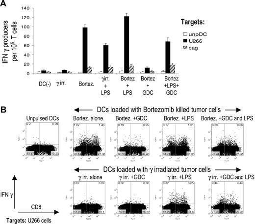 Figure 4. Geldanamycin abrogates increased immunogenicity of bortezomib-killed myeloma cells. (A) DCs were pulsed with U266 myeloma cells killed by γ irradiation, bortezomib alone, or with myeloma cells preincubated with geldamamycin for 1 hour before treatment by bortezomib. Tumor-loaded DCs with or without additional maturation stimulus with LPS were then used as stimulators of autologous T cells for 2 weeks. On day 7, T cells were restimulated with fresh tumor cell–pulsed DCs. On day 14, IFNγ production by tumor-reactive T cells in response to U266 myeloma cells was quantified by an overnight ELISPOT. Response to an HLA-A2–negative cell line cag or unpulsed autologous DCs was used as a control. Data shown are mean/SD of 3 independent experiments on 3 blood donors. (B) DCs were fed with apoptotic U266 tumor cells killed by γ irradiation or bortezomib, with or without 1 hour preincubation of U266 cells with geldanamycin. Pulsed DCs then were activated with LPS or left untreated. DCs then were used to stimulate T cells as in panel 2A. On day 14 of culture, IFNγ production in response to U266 tumor cells was monitored by intracellular cytokine flow cytometry. Data are representative of similar experiments on 3 donors. Response to HLA-A2 negative cag cells was used as a negative control and did not exceed 0.1% (not shown).