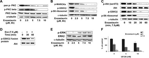 Figure 4. Enzastaurin targets the Akt signaling pathway. (A) BCWM.1 cells were cultured with control media or enzastaurin (2.5 to 10 μM) for 6 hours. Whole-cell lysates were subjected to Western blotting using anti–pan–p-PKC (ser660), anti–p-PKCβ (thr500), anti-PKCβ, and α-tubulin antibodies. (B) BCWM.1 cells were cultured with control media, enzastaurin (2.5 to 10 μM) for 6 hours. Whole-cell lysates were subjected to Western blotting using anti–p-MARCKs, anti–p-GSK3α/β, anti–p-S6 ribosomal, and anti–α-tubulin antibodies. (C) BCWM.1 cells were cultured with enzastaurin 7.5 μM for the time indicated. Whole-cell lysates were subjected to Western blotting using anti–p-Akt, total Akt, anti–p-GSK3α/β, anti–p-S6 ribosomal, and anti–α-tubulin antibodies. (D) Akt kinase assay. BCWM.1 cells were cultured with control media or enzastaurin 7.5 μM for 30 minutes or 1 hour. Whole-cell lysates were immunoprecipitated with anti-Akt antibody, washed, and subjected to in vitro kinase assay according to the manufacturer's protocol. Western blotting used Akt and phospho-GSK3α/β antibodies. (E) BCWM.1 cells were cultured with enzastaurin (2.5 to 10 μM) for 6 hours. Whole-cell lysates were subjected to Western blotting using anti–p-ERK, anti-ERK1/2, and α-tubulin antibodies. (F) BCWM.1 cells were cultured for 48 hours with media and with enzastaurin (5 to 7.5 μM) in the absence or presence of 5 and 10 μM MEK1/2 inhibitor U0126. Cytotoxicity was assessed by MTT assay. Data represent mean (± SD) of triplicate experiments.