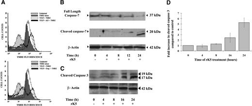 Figure 2. rK5 transduces apoptotic signal via an intrinsic pathway. (A) Mitochondrial membrane depolarization following 24-hour treatment of endothelial cells with rK5 in the presence or absence of VEGF. HUVECs were incubated with the ΔψM-sensitive mitochondrial dye, TMRE (40 nM), for 15 minutes prior to harvesting and immediately analyzed by FACS. The profiles of unstained and etoposide (10 μg/mL)–treated HUVECs are included with each histogram. (B) Western blot analysis of full-length caspase-7 and cleaved caspase-7 in rK5-treated HUVECs. Total cell lystates from rK5-treated HUVECs were collected at different time points and subjected to Western blot analysis. β-actin was used to normalize the amount of loaded proteins. (C) Representative Western blot analysis of cleaved caspase-3 and β-actin in rK5-treated HUVECs. Total cell lystates from rK5-treated HUVECs were collected at different time points and subjected to Western blot analysis. (D) Densitometric analysis was used to quantify the levels of caspase-3 activation. Values were normalized against β-actin and presented as fold increase compared with the basal level (0 hours of treatment). Data are shown as means ± SE.
