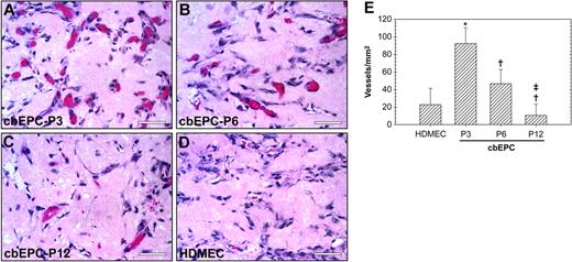 Figure 5. Effect of in vitro expansion of EPCs on in vivo vasculogenesis. Matrigel implants containing cbEPCs and HSVSMCs (4:1 ratio) were evaluated after one week. (A-C) H&E staining of Matrigel implants (× 400) containing cbEPCs at passages 3 (A), 6 (B), and 12 (C). HDMECs implants (with HSVSMCs; 4:1 ratio) were used as control for mature ECs (D; × 400). All images are representative of implants harvested from 4 different animals (scale bar represents 50 μm). (E) Microvessel density in Matrigel implants was quantified by counting lumenal structures containing red blood cells. Each bar represents the mean microvessel density value determined from 4 separated implants and animals ± SD. *P < .05 compared with HDMEC. †P < .05 compared with cbEPC-P3. ‡P < .05 compared with cbEPC-P6.