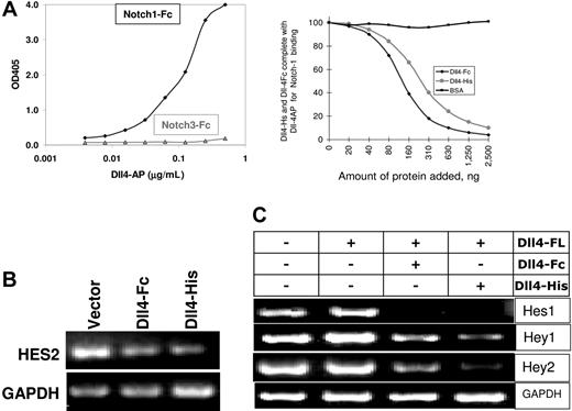 Figure 2. Biochemical properties of sDll4. (A) Notch-Fc fusion protein was coated directly on enzyme-linked immunosorbent assay (ELISA) plates. sDll4-AP was allowed to bind Notch-Fc, and the bound Dll4 was quantitated by the addition of AP substrate. sDll4-AP bound efficiently to Notch1 and not Notch3 (left panel). Binding of sDll-4Fc and sDll4-His to Notch1 was examined. (B) HUVECs were transfected with expression vectors for sDll4-Fc, sDll4-His, or vector alone. Notch-responsive Hes-2 gene expression was not induced by sDll4 proteins. (C) Notch activation measured by the induction in Hes-1, Hey-1, and Hes-2 when HUVECs were cocultivated with ChoK expressing Dll4-FL (full length). Addition of recombinant sDll4-Fc and sDll4-His reduced the induction of Notch responsive genes. Two independent experiments produced similar results.