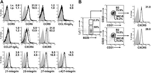 Figure 3. Residence of B cells in the peritoneal cavity influences their expression of homing molecules. Ly5.1+ splenocytes were injected into congenic Ly5.2+ wild-type recipients either intravenously or intraperitoneally 2 days after adoptive transfer, and cells were isolated from the recipients' spleens in case of intravenously transferred mice or from the peritoneal cavities in case of intraperitoneally transferred mice. (A) Surface expression of different chemokine receptors and adhesion molecules of transferred splenic B2 cells was analyzed by flow cytometry. Solid lines show expression on intravenously transferred cells reisolated from the recipients' spleens, dashed lines show expression on intraperitoneally transferred cells reisolated from the recipients' peritoneal cavities, and shaded areas show isotype control stainings for intravenously transferred cells reisolated from the recipients' spleen. Numbers indicate the ratio of the mean fluorescence intensity and the isotype control staining. (B) Adoptively transferred splenic B2 cells reisolated from the spleen do not differ from endogeneous B2 cells in their CXCR5 expression. Expression of CXCR5 was compared for intravenously transferred and endogeneous (Ly5.1−B220+CD23highCD21int) splenocytes. In the middle panels, numbers indicate the percentages of cells within the corresponding gates. In the right panels, numbers indicate the ratio of the mean fluorescence intensity for CXCR5 staining and the corresponding isotype control staining. Shaded areas show isotype control stainings. Representative data for 3 independent experiments with cells pooled from 4 to 8 mice each are shown.