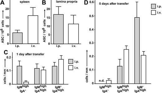Figure 6. The route of transfer determines the fate of differentiating plasma blasts. (A-B) Five days after intraperitoneal immunization with CT, splenocytes were isolated and adoptively transferred into individual recipients either by intravenous or intraperitoneal injection. Seven days after adoptive transfer, the number of adoptively transferred CT-specific antibody-secreting cells (ASC) present in the recipients' spleens and small intestinal lamina propria was determined by ELISPOT assay. Bars depict the mean number of CT-specific IgM-secreting cells in the spleen (A) and CT-specific IgA-secreting ASCs in the lamina propria (B) observed in 6 mice in 2 independent experiments. (C-D) Ly5.1+ wild-type splenocytes were injected either intraperitoneally (▩) or intravenously (□) into separate congenic Ly5.2+ recipients. One day (C) and 5 days (D) after transfer, the recipients' intestines were embedded as “Swiss rolls,” and the number of transferred cells present in the lamina propria was determined by immunofluorescence microscopy. Sections were stained with anti-Ly5.1, anti-IgM, and anti-IgA antibodies. The frequency of cells is expressed as number of cells observed per millimeter of length of the intestine analyzed. For each time point and route of transfer, at least 20 cm of intestine obtained from 3 independent recipients was examined. Error bars represent SEM.