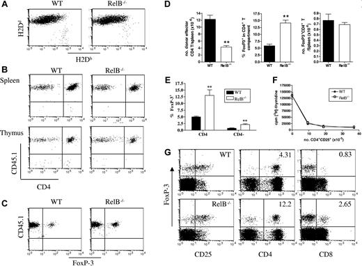 Figure 3. Abrogation of GVHD is associated with a decreased expansion of CD4+ effector T cells. Irradiated WT and RelB−/− BMCs were transplanted with BM from Balb/c (CD45.2+) donors in combination with T cells from congenic Balb/c (CD45.1+) donors, and spleens and thymi were harvested and dissociated 10 days after BMT. (A) Splenocytes were stained with mAb against H2Db and H2Dd to examine engraftment. (B) Splenocytes and thymocytes were stained with CD3, CD45.1. and CD4; CD3 T cells were gated and examined for CD4 and CD45.1 expression. Splenocytes were stained with CD3, CD45.1, CD4, and Foxp3, and (C) CD45.1 expression by FoxP3+ Treg cells was examined and (D) CD4+ T effector (CD3+CD4+FoxP3neg) and CD4+ Treg cells were enumerated **P < .01; WT (n = 6) versus RelB−/− BMCs (n = 6). (E) The percentage of CD4+FoxP3+ and CD4−FoxP3+ cells in WT and RelB−/− allograft recipients 10 days after BMT. **P < .01. Data represent mean ± SEM from individual animals. (F) Suppressive function (as described in “Materials and methods”) of day 10 ex vivo sort-purified CD4+CD25+ Treg cells from WT or RelB−/− BMCs recipients. (G) Four-color flow cytometry was used to phenotype and enumerate splenic FoxP3+ T cells (number in upper right quadrants represent percentage of CD4 or CD8 populations which were FoxP3+).