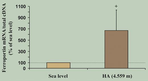 High-altitude exposure is associated with an increase in skeletal muscle ferroportin mRNA levels. Measurements obtained from muscle biopsies under normoxic conditions at sea level and after exposure to high-altitude hypoxia for 7 to 9 days (HA). See the complete figure in the article beginning on page 4724.