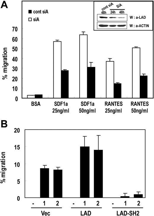 Figure 3. Lad is required for chemokine-induced T-cell migration. (A) Suppression of endogenous Lad expression by siRNA inhibits chemokine-dependent T-cell migration. Jurkat T cell clones that stably express CCR5 were transfected with pSUPER plasmid expressing control siA or siA. Subsequently, 5 × 105 cells were loaded into the upper part of a Transwell chamber inserted into medium containing 25 ng/mL or 50 ng/mL SDF-1α or RANTES. After incubation for 2 hours, cells that had migrated into the bottom chamber were counted. The experiments were performed 3 times in duplicate, and the results were expressed as mean ± SD. Error bars represent the standard deviation. As a control, protein level of endogenous Lad was analyzed by Western blotting with antiLad antibody (inset). (B) Jurkat T-cell clones that stably express Lad (Lad) or the SH2 domain of Lad (Lad-SH2) were subjected to the chemotaxis assay described in panel A. Two independent clones were tested for each transfectant.