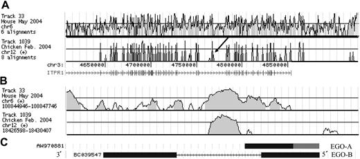 Figure 1. Conservation and gene structure of EGO. (A) Vista tracks of mouse and chicken on the UCSC browser showing conservation of the ITPR-1 region. The arrow indicates the EGO region. ITPR-1 exons are shown as vertical lines. The y axis ranges from 50%-100% percent identity. (B) Vista tracks of mouse and chicken on the UCSC browser at the same magnification as panel C. (C) The structure of EGO transcripts is shown. The representative cDNA clones (BCO35947 and AW970881) from BLAT (http://genome.ucsc.edu) are shown in black. The putative 5′ end of EGO-A is shown in gray. Note that EGO transcripts are shown 3′ to 5′ because they are on the minus strand of genomic DNA.