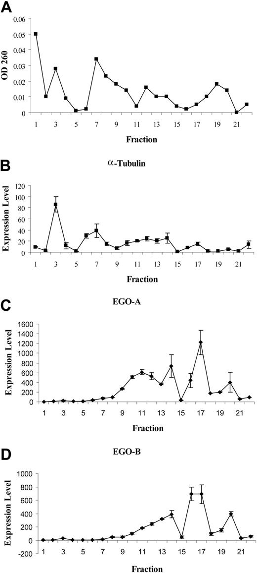 Figure 3. Real-time Q-RT-PCR of CD34+ RNA from sucrose density gradient fractions. (A) OD260. (B) α-tubulin. (C) EGO-A. (D) EGO-B. Expression level as fold change is shown on the y axis. Standard errors of PCR triplicates are shown.