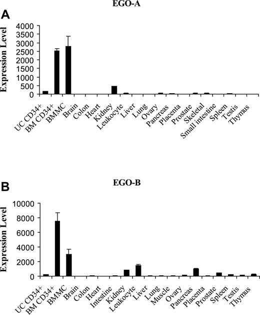 Figure 6. Real-time Q-RT-PCR of EGO transcripts derived from human tissues. (A) Fold expression levels of EGO-A in various tissues relative to brain. (B) Fold expression levels of EGO-B relative to brain. CD34+ cells and bone marrow mononuclear cell RNA was normalized to the average level of α-tubulin in the tissue panel. UC CD34+, umbilical cord CD34+; BM CD34+, bone marrow CD34+; BMMC, bone marrow mononuclear cells. Standard errors of PCR triplicates are shown.