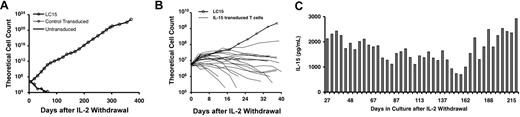 Figure 1. LC15 growth profile and IL-15 expression after withdrawal from exogenous cytokine support. PBLs were activated with OKT3 and IL-2. Cells were transduced 4 times with IL-15 retroviral supernatants on culture days 2 and 3. Control cells were not transduced or were transduced with a retroviral vector encoding irrelevant proteins. On day 7 of the culture, the PBLs were washed extensively, and 5 × 106 cells from each culture were plated in fresh media, in the absence of exogenous cytokine. (A) Viable cells were enumerated every 4 to 7 days by trypan blue exclusion; concurrently, the cell culture media were refreshed by replacing half of the spent media with fresh media. Cells were maintained at a density of 1 × 106 cells/mL. (B) Twenty-two other experiments were performed in which OKT3-activated PBLs were transduced with the IL-15 retroviral vector and subsequently withdrawn from IL-2. The growth of these cultures, and the growth of LC15, was plotted over the first 40 days after IL-2 withdrawal. (C) LC15 cell culture media were periodically assayed for IL-15 content by ELISA.