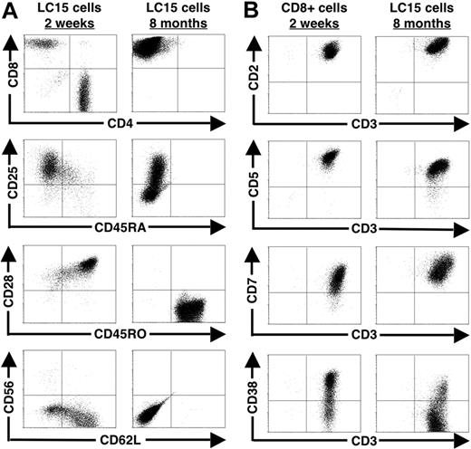 Figure 2. Cell-surface molecule profile of LC15 cells. (A) LC15 cells were examined for common T-lymphocyte markers at 2 weeks and 8 months after IL-2 withdrawal. Cells were stained with fluorescent-labeled antibodies against CD4, CD8, CD25, CD28, CD45RA, CD45RO, CD56, and CD62L. Lymphocytes were subsequently analyzed by FACS. (B) Activation marker profiles of OKT3-stimulated CD8+ T cells cultured with IL-15 (10 ng/mL) and 8-month cultured LC15 cells. OKT3-stimulated CD8+ T cells were cultured for 2 weeks in media containing IL-2 prior to analysis. LC15 cells were cultured for 8 months after IL-2 withdrawal. Cells were double stained with CD3 and either CD2, CD5, CD7, or CD38 prior to analysis by FACS.