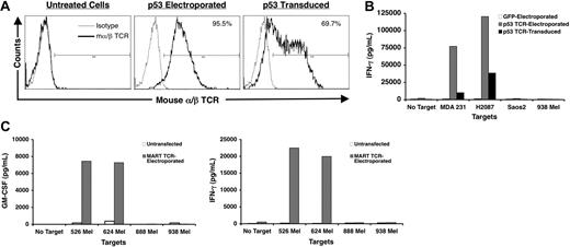 Figure 3. TCR gene transfer and tumor recognition assays. (A) Efficiency of gene transfer. A mouse TCR with specificity for an HLA-A2–restricted epitope of p53 was transferred to LC15 cells by either RNA electroporation or retroviral transduction. The cells were stained with anti–mouse α/β TCR antibody (heavy lines) or the matched isotype control antibody (light lines) 24 hours after electroporation or 2 days after transduction. Cells were analyzed by flow cytometry. The number in the upper right corner denotes the percentage of cells positive for mouse α/β TCR. (B) p53+ tumor antigen recognition assay. LC15 effector cells were electroporated with GFP mRNA, electroporated with the p53 TCR mRNA, or transduced with the p53 TCR retroviral vector. Effector cells (1 × 105) were plated in 96-well plates with 1 × 105 tumor targets that were either p53 positive (MDA231 and H2087) or p53 negative (Saos2 and 938mel). After an 18-hour coculture, the cell culture media was collected and assayed for IFN-γ content by ELISA. (C) MART tumor antigen recognition assay. LC15 effector cells were untreated or electroporated with MART TCR mRNA. Tumor targets were melanoma lines either HLA-A2 positive (526mel and 624mel) or HLA-A2 negative (888mel and 938mel). After an 18-hour coculture, the cell culture medium was collected and assayed for IFN-γ and GM-CSF content by ELISA.