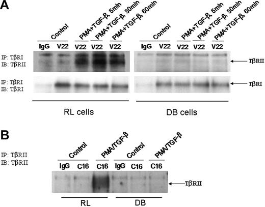 Figure 4. Status of TβRI and TβRII in RL and DB cells. (A) An equal amount of membrane proteins (150 μg) were used for immunoprecipitation with anti-TβRI antibody. The immunoprecipitated (IP) complexes were analyzed by Western blot analysis. The membranes were first probed with anti-TβRII antibody, and then stripped and reprobed with anti-TβRI antibody. (B) An equal amount of membrane fractions (150 μg) were used for immunoprecipitation with anti-TβRII antibody. The immunoprecipitated samples were analyzed by Western blot analysis with the anti-TβRII antibody. IB indicates immunoblot.