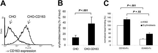 Figure 3. CD163 functions as an adhesion receptor for erythroblasts. (A) Surface expression of CD163, as identified by fluorescence-activated cell sorter (FACS) staining using mAb EDhu1, on CHO cells stably expressing human CD163 (CHO-CD163) or empty vector (CHO). (B) K562 erythroblastic leukemic cell binding to CHO cells expressing CD163. Data shown are the means ± standard deviation (SD) from 4 independent experiments. (C) Binding of K562 cells or freshly isolated rat erythroblasts to fluorescent beads coated with either CD163-Fc or ICAM3-Fc protein. Data shown are the means ± SD from 3 independent experiments.