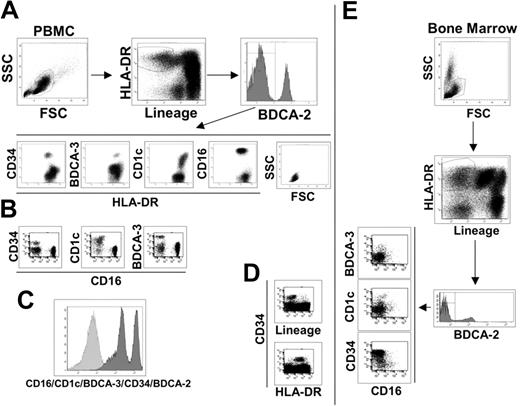 Figure 1. Phenotypic dissection of peripheral-blood DCs. (A) Sequential analysis to identify blood DC populations as indicated by the arrows. Live PBMCs were gated on lineage negative/HLA-DR+ cells and divided into BDCA-2 positive (pDCs) and negative populations. BDCA-2 negative were further divided into 4 subsets characterized by CD34, BDCA-3, CD1c, and CD16 surface expression. SSC and FSC highlight the typical lymphomonocytic morphology of these cells. (B) Each of the 4 surface antigens identifies a single, nonoverlapping population of cells as exemplified by the dot plots of CD16 versus CD34, CD1c, and BDCA-3 reported here. (C) Histogram of the lineage-negative/HLA-DR+ cell population stained with a mixture of antibodies against the indicated cell subset markers. (D) All CD34+ cells are lineage-negative/HLA-DR+ as shown in these fluorescent dot plots. Data reported in A, B, C, and D are representative of one donor out of 10. (E) The same sequential analysis of bone marrow cells as shown in A and B for PBMCs. Representative data from one donor out of 10.